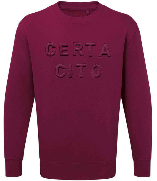 CERTA CITO 3D Puff Embroidered Sweatshirt