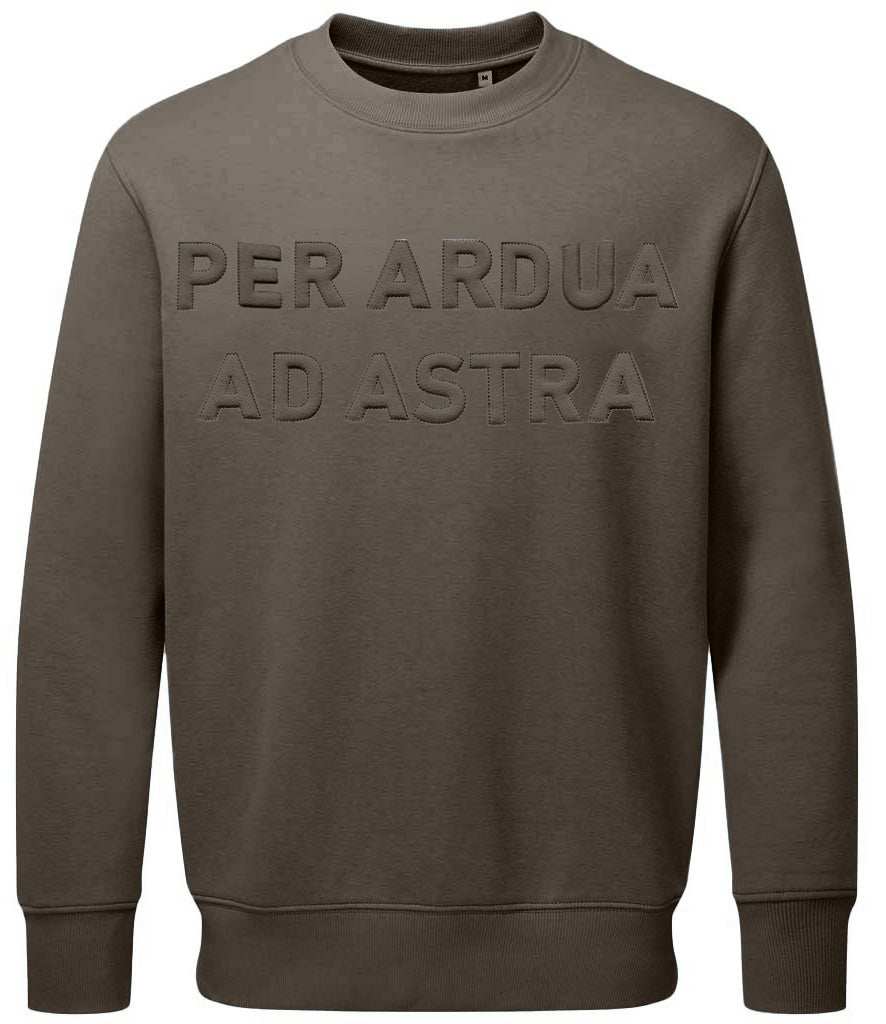 Royal Air Force sweatshirt with "Per Ardua Ad Astra" 3D puff embroidery on chest.